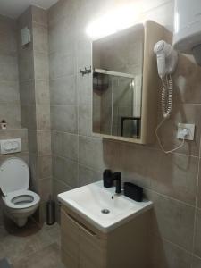 Koupelna v ubytování Apartman Maksimović Divčibare + 27 fotografií