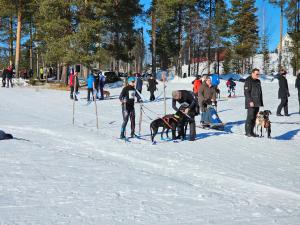 Το Fiskekamp Rusksele τον χειμώνα