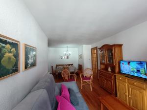 a living room with a couch and a flat screen tv at InmoCyma Pico Sayó Benasque in Benasque