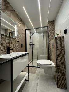 a bathroom with a toilet and a sink and a shower at Stodoła in Brenna