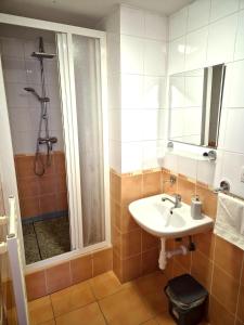 Koupelna v ubytování Villa Silver Green + 23 fotografií