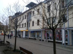 a building on a street with trees in front of it at DebreCenter Apartman in Debrecen