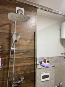 a shower in a bathroom with a wooden wall at Stan na dan Spasovdanska in Ivanići +15 photos