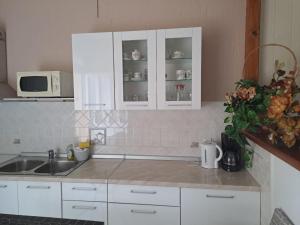 Kuchyň nebo kuchyňský kout v ubytování Apartments Mig