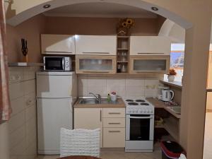 Kuchyň nebo kuchyňský kout v ubytování Apartments Mig