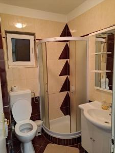 Koupelna v ubytování Apartments Mig
