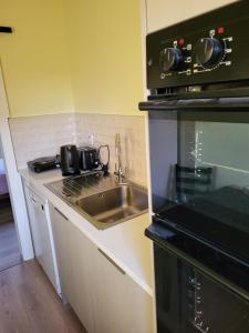 a kitchen with a sink and a stove top oven at Beech Lodge,Garden Apartment in Goffʼs Bridge