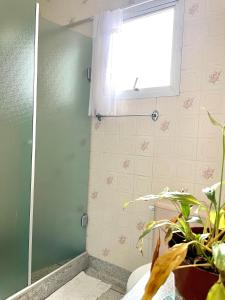 une salle de bain avec douche avec fenêtre et plante dans l'établissement Apartamento 1013 com varanda e vista ao mar, à São Vicente