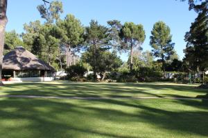 a field of grass with a gazebo and trees at Plotsklaps Self Catering Cottage in Tokai
