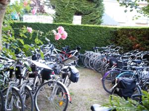 kilka rowerów zaparkowanych obok żywopłotu w obiekcie Hotel Anne De Bretagne BLOIS w mieście Blois