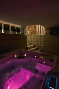Fotografie z fotogalerie ubytování Level 1 Spa Apartman v destinaci Šabac