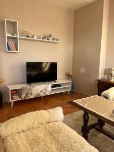 TV a/nebo společenská místnost v ubytování Apartment Vračar Nikšić