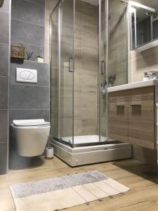 un bagno con doccia, WC e lavandino di zeleni bor Divcibare a Divčibare