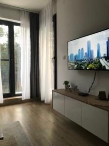 TV i/ili multimedijalni sistem u objektu zeleni bor Divcibare