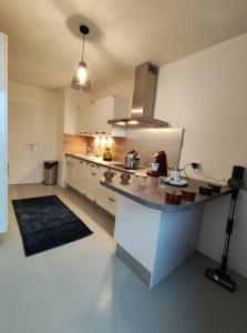 Η κουζίνα ή μικρή κουζίνα στο Rétro Romance in Mulhouse