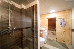 een badkamer met een douche, een toilet en een wastafel bij Chata na Kowalówkach - domek w górach - blisko szlaków i wyciągu in Piwniczna