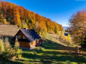 a log cabin in the middle of a grass field at Chata na Kowalówkach - domek w górach - blisko szlaków i wyciągu in Piwniczna-Zdrój