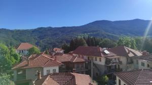 a group of houses with mountains in the background at Inima apartments in Metsovo