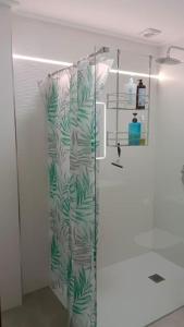 a shower in a bathroom with a green shower curtain at Casa Parador De Santa María in Villarrobledo