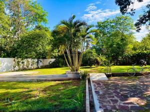 a palm tree in the middle of a park at Santa Maria Hotel in Santa María