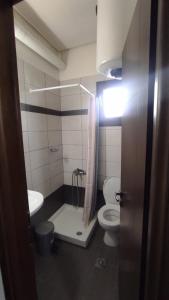a bathroom with a shower and a toilet and a sink at Inima apartments in Metsovo