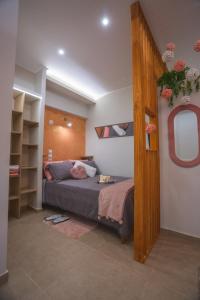 a bedroom with a bed and a mirror at Tinas Studio in Thessaloniki
