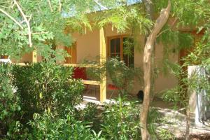a house with a bench in the middle of trees at Hostal Candelaria in San Pedro de Atacama