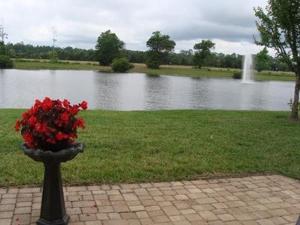 Foto de la galería de Spacious with Efficiency Suite-separate entry 543 en Sampson