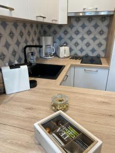 eine Küche mit Spüle und Arbeitsplatte in der Unterkunft Marianne 1 in Bergerac