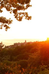 Afbeelding uit fotogalerij van Domaine du Val des Nymphes - Chambres d'hôtes in La Garde-Adhémar +32 foto's