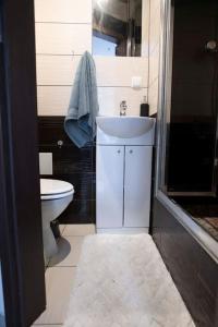 a bathroom with a sink and a toilet at Apartament pod Katedra w Gnieznie in Gniezno