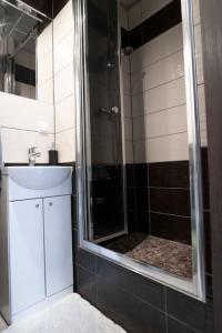 a bathroom with a shower and a sink at Apartament pod Katedra w Gnieznie in Gniezno
