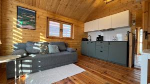 a living room with a couch and a kitchen at Dwór Piotra i Pawła- pokoje i domki in Miedzygorze +23 photos