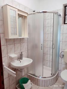 Koupelna v ubytování Apartment Slaven