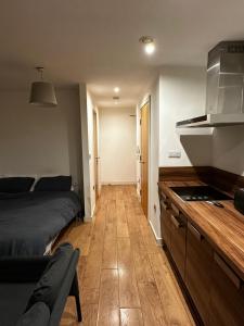 Dapur atau dapur kecil di Cosy Studio Apartment