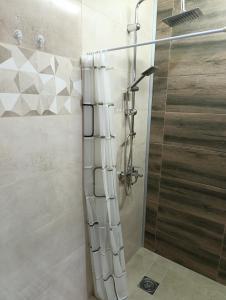 Apartman Dora的一间浴室