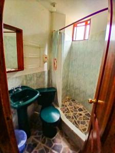 a bathroom with a green toilet and a sink at Hotel COTURPA in Papallacta