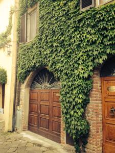 a building with a wooden door covered in ivy at Tre Girasoli in Monte San Savino