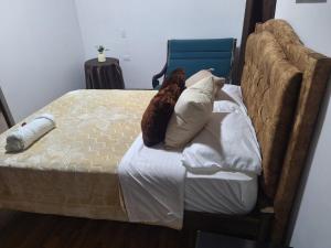 a bed with a teddy bear laying on it at Hotel Casa Real Málaga Santander in Málaga