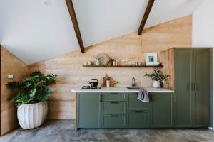 a kitchen with green cabinets and a plant at Olive Studio at Kavillo in Buckaroo