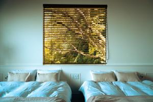 TosaThe Roam的一间卧室设有两张床,窗户上有一棵树