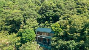 ein Haus mitten im Wald in der Unterkunft The Roam in Tosa