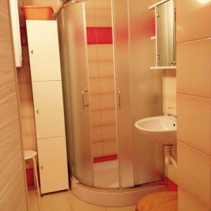 シュクラルスカ・ポレンバにあるApartament Szklarka6のバスルーム(シャワー、シンク付)