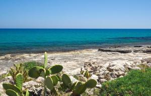 eine stachelige Pflanze an einem felsigen Strand mit Blick auf das Meer in der Unterkunft Awesome Home In Marina Di Modica in Marina di Modica + 15 Fotos