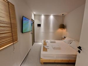 una camera con letto e TV a parete di Trees Art Hotel & Suites a Ixiá