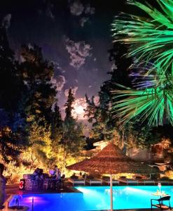 Hồ bơi trong/gần Trees Art Hotel & Suites