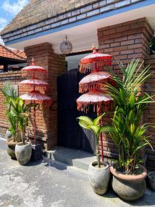 Zahrada ubytování Nita Guest House Bali