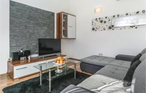 TV a/nebo společenská místnost v ubytování Three-Bedroom Apartment In Donja Ostrvica