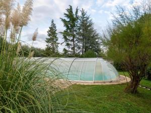 Zahrada ubytování Holiday Home in Brtonigla with Private Pool