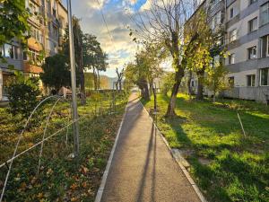 a road in a city with a tree and buildings at Apartament Sumpset in Orşova